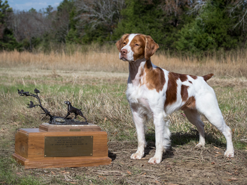 Hobey with National Specialty Trophy.