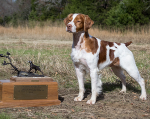 Sovereign’s Chasing Legends  | National Champion