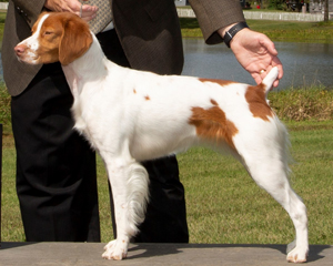 GCH Sovereign