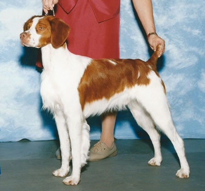 JR New Champion 2003