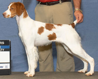 CH Crosscreek Sovereign One<br />
and Only JH “Uno”