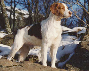 Cody on Hill