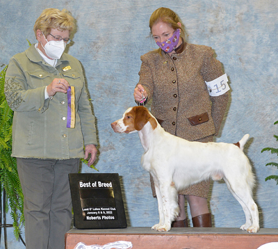 CH Aspen N Hybrittin’s Other Fine Wench “Trixie”