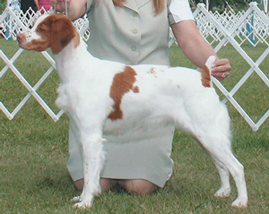 Roz