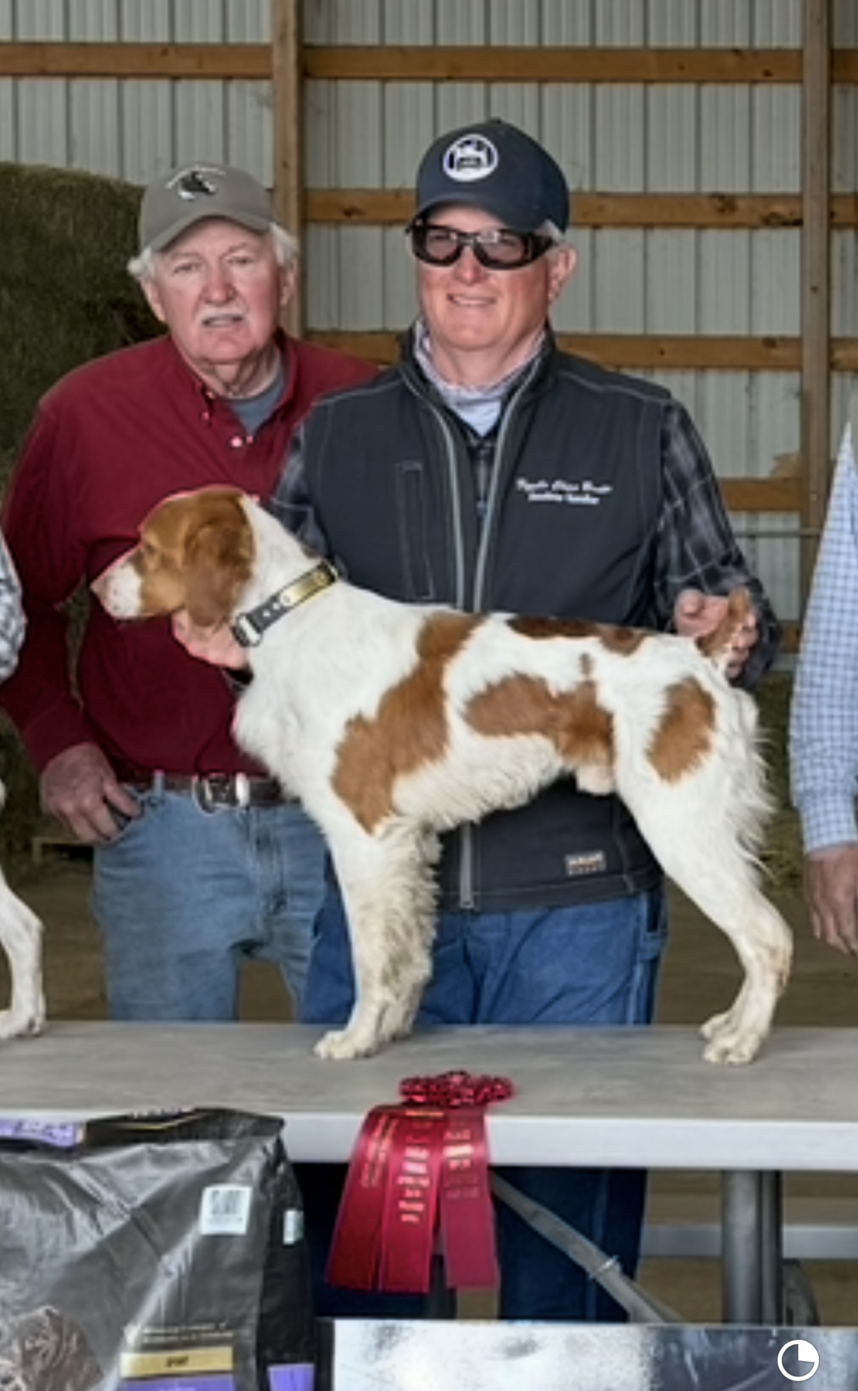 CH Sovereign’s Legendary Rascal “Alvin”