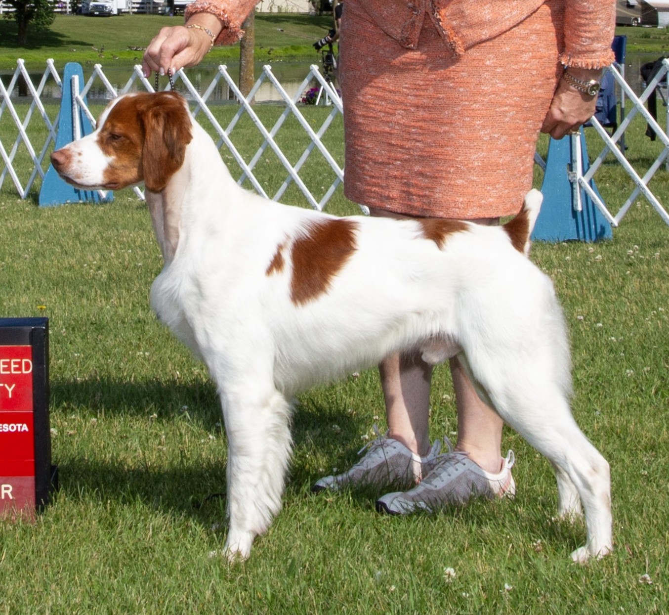 National Specialty Winner - Best in Show