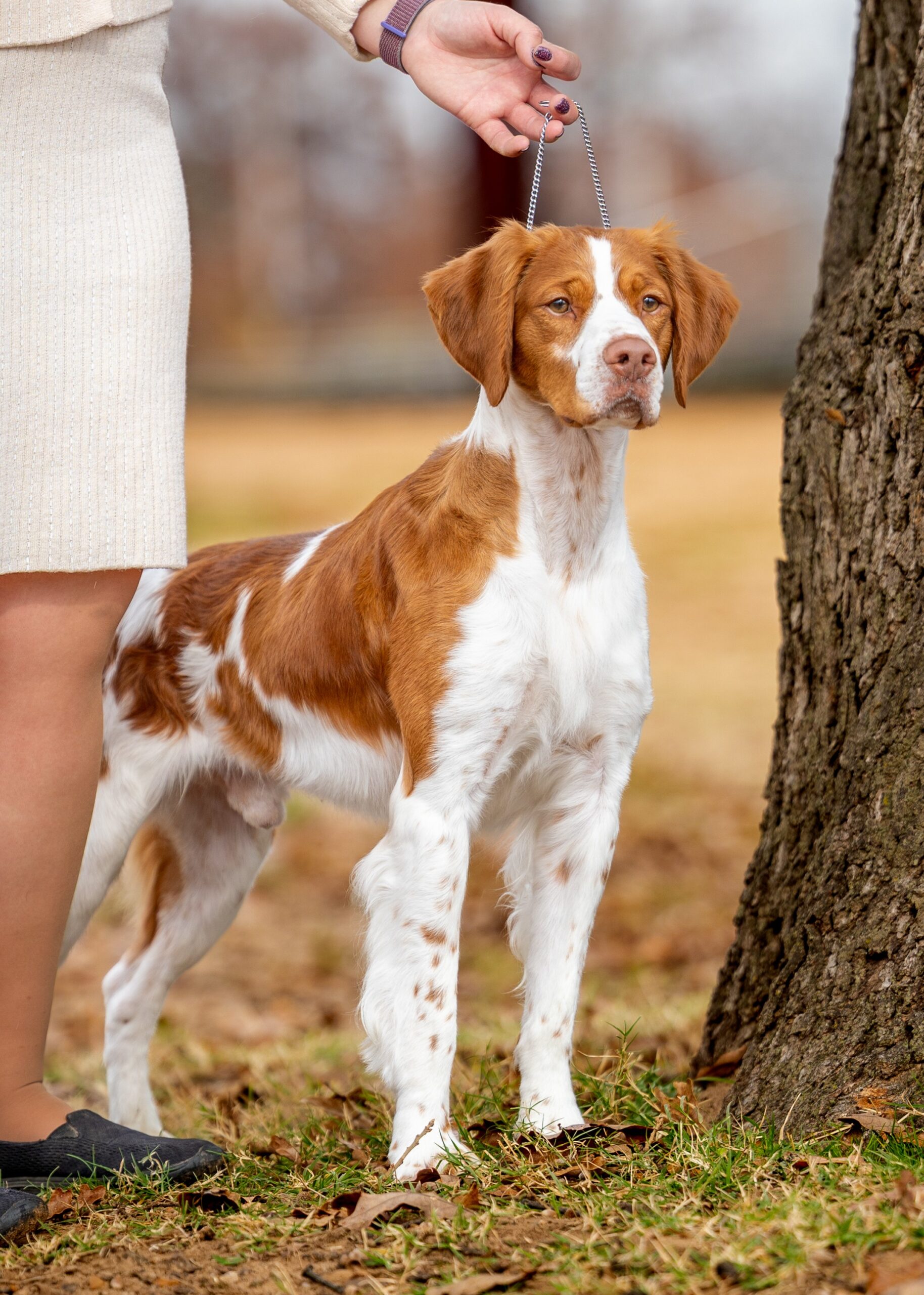 3 Point AFC Win for Dawn & Hob w/ Joe Scouting!