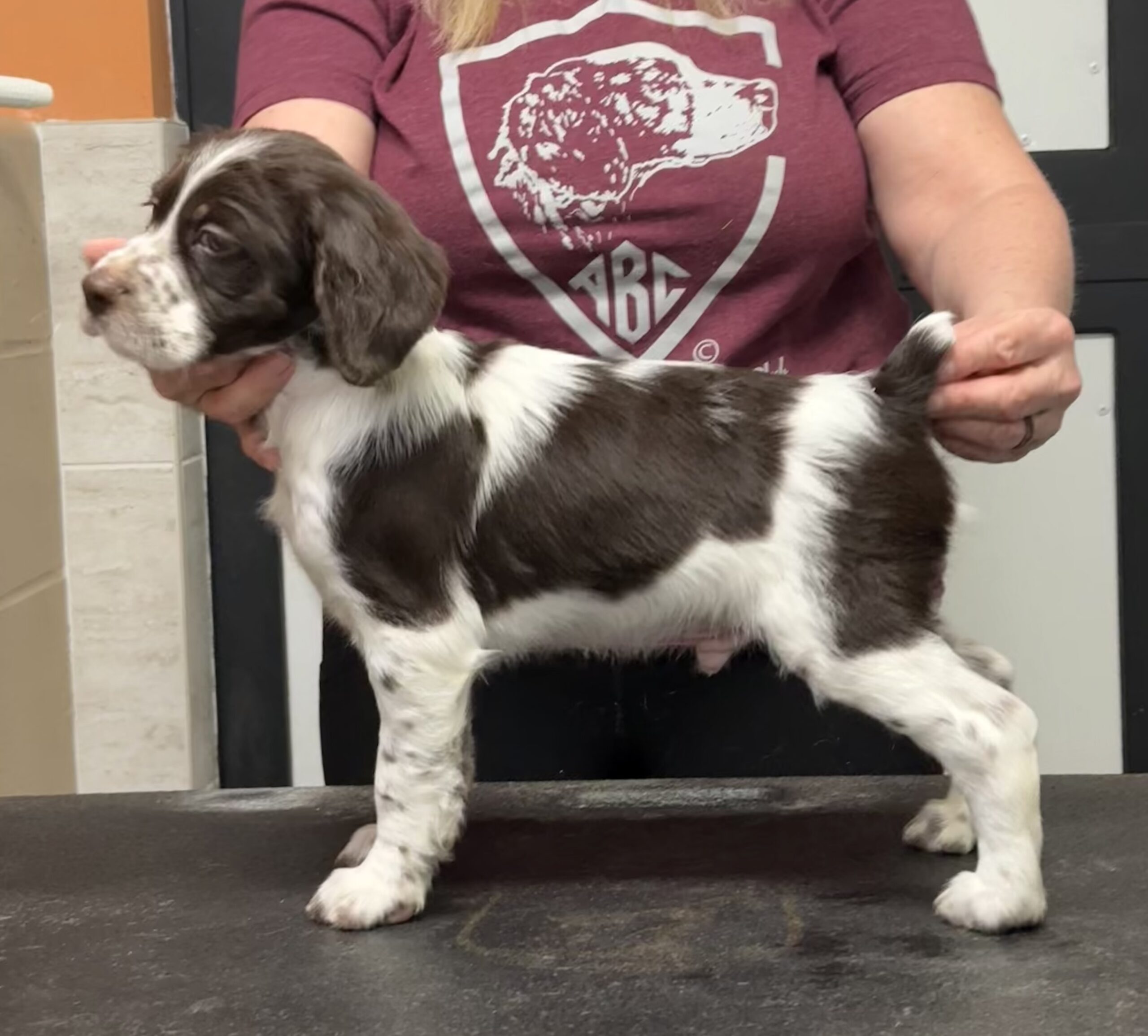 StanLee 8 weeks 5 pt major for Hobey with Bob, Valerie & Hyatt Burchett