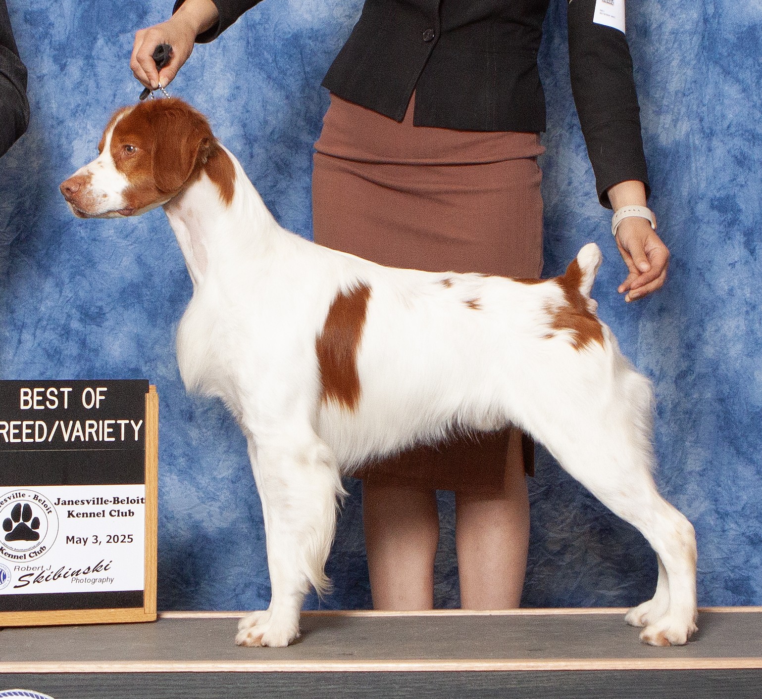 GCH Sovereign's Dream Hi Legendary Reign Max