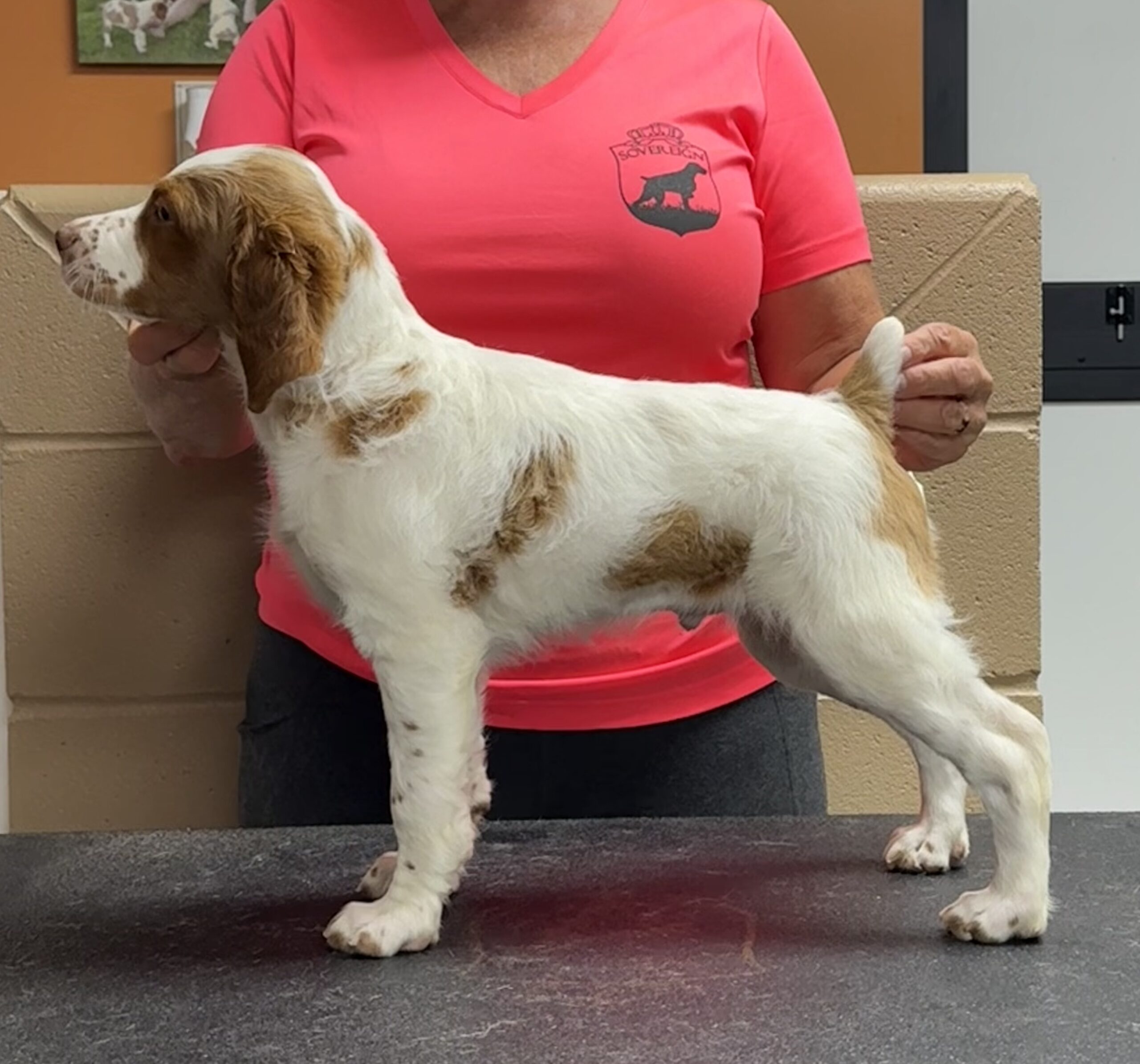 Chip 8 weeks 5 pt major for Hobey with Bob, Valerie & Hyatt Burchett