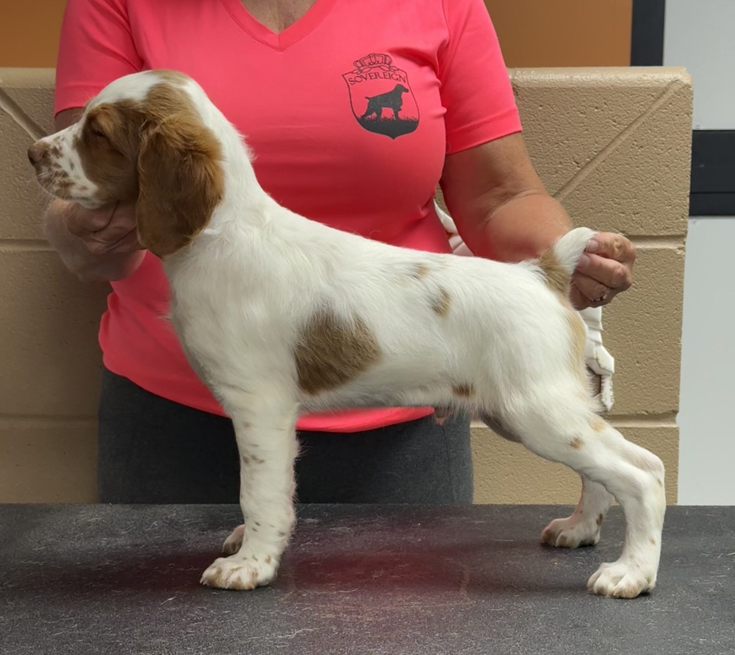 Moose 8 weeks 5 pt major for Hobey with Bob, Valerie & Hyatt Burchett
